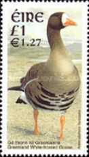 postage stamp design - Ireland bird dual currency stamp