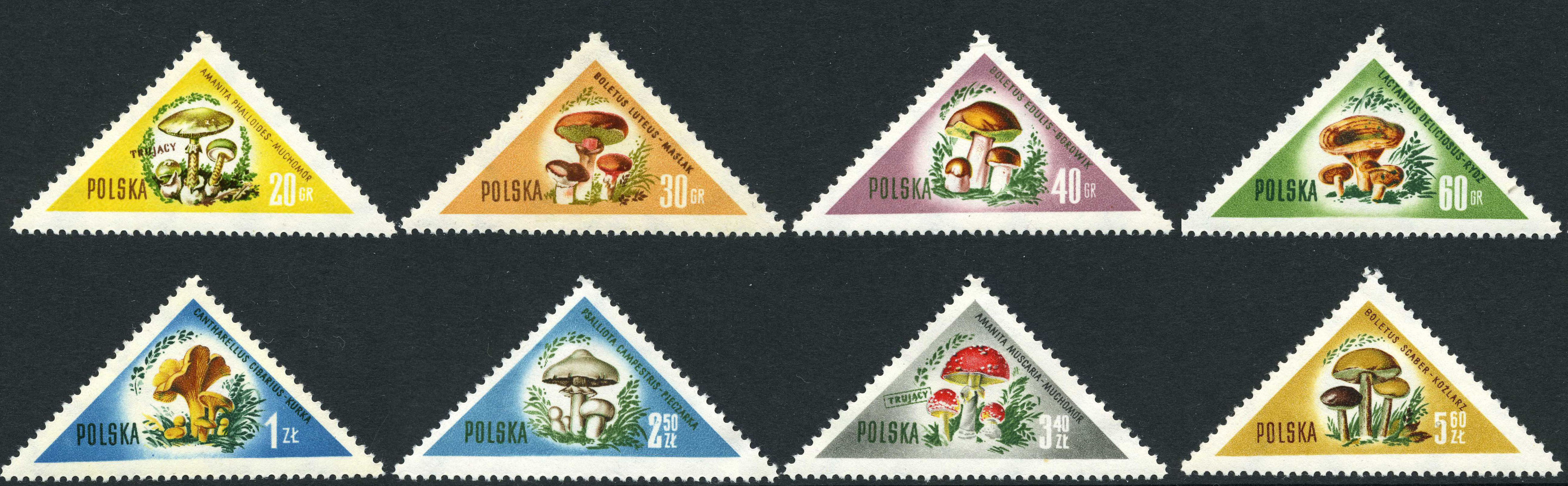 postage stamp design - poland 1959 triangle stamps