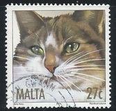 [Cats, loại AOP]