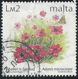 [Flowers, Tüüp AHW]