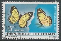 [Butterflies, jenis DL]