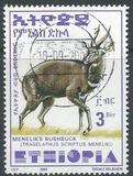 [Menelik´s Bushbuck, type AZF20]
