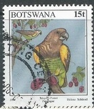[Birds, type XG]