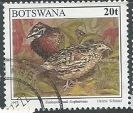 [Birds, type XH]