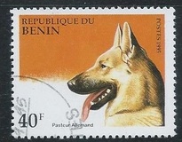 [Dogs, tip QA]