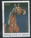 [Horses, type UB]