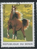 [Horses, type UC]