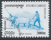 [Rice Cultivation, type BSR]