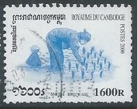 [Rice Cultivation, type BSU]