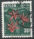 [Local Motifs, type CO]