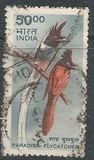 [Wildlife, type BJC]