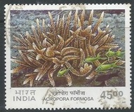[Corals, प्रकार BLC]