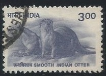 [Wildlife, type BIG]
