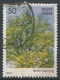 [Flowering Trees, tip ZX]