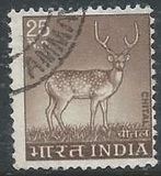 [Spotted Deer, type PE]