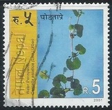 [Flowering Plants, Scrivi WC]