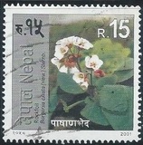 [Flowering Plants, Scrivi WD]