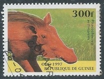 [Mammals, type ATQ]