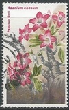 [Flora - Tipografia: Harrison & Sons Ltd., Scrivi IN]
