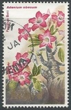 [Flora - Tipografia: Harrison & Sons Ltd., Scrivi IN]
