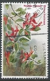[Flora - Tipografia: Harrison & Sons Ltd., Scrivi IQ]