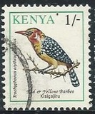[Birds, type VB]