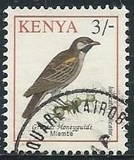 [Birds, type VD]