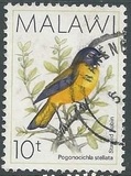 [Birds, type PY]