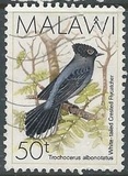 [Birds, type QD]