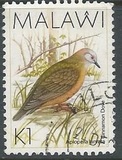 [Birds, type QF]