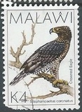 [Birds, type QH]