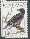 [Birds, type QH]