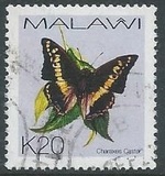 [Butterflies, type XXK]
