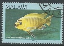 [Fish, type MJ]
