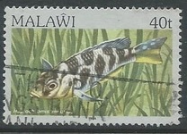 [Fish, type MO]