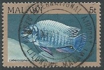 [Fish, type MH]