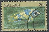 [Fish, type MM]