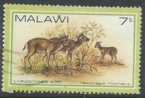 [Wildlife, type KE]