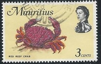 [Marine Life, ประเภท EY]