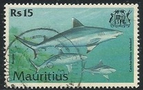 [Fish, Tipe ABC]