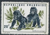 [Local Fauna - Mountain Gorilla, प्रकार IT]