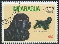 [Dog Breeds, typ BDZ]