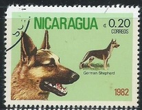 [Dog Breeds, typ BEA]