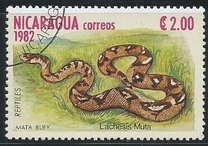 [Reptiles, tip BFM]