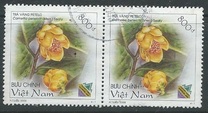 [Flowers Camellia, प्रकार CLA]