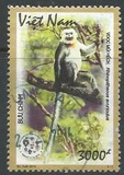 [Vietnamese Primates, type CZI]