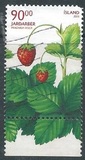 [Wild Berries, type AFY]
