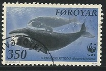 [North Atlantic Whales, tyyppi GK]