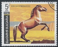 [Horses, タイプ ELD]