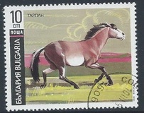 [Horses, タイプ ELE]